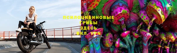 мескалин Каменка