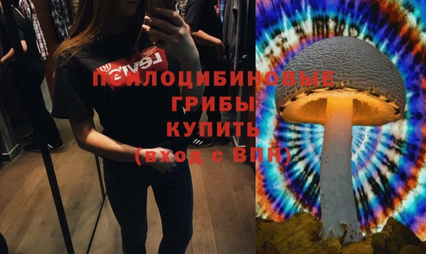 прущая мука Каменногорск