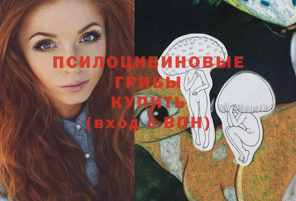 прущая мука Каменногорск